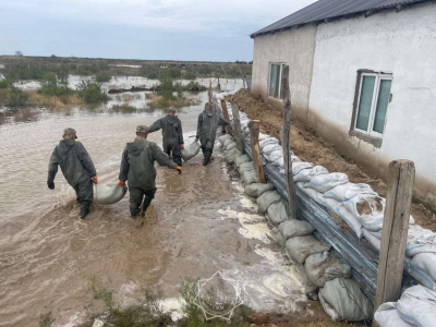 Проведена оценка свыше 8,8 тыс. пострадавших от паводков домов