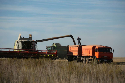 Ход приемки нового урожая зерновых рассмотрели в правительстве