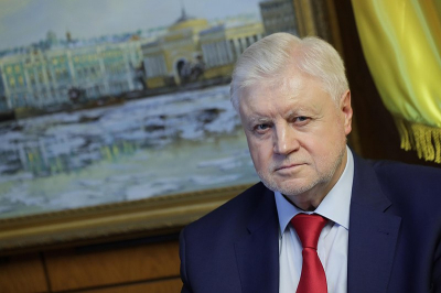 Миронов предложил тратить маткапитал на авто и ремонт
