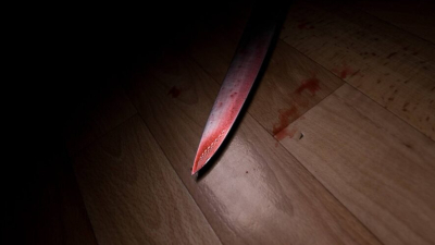 Подросток зарезал спящую мать из-за ссоры и спрятал ее тело в погребе 24/02/2026 &ndash; Новости