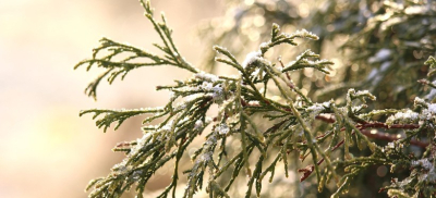 Низовые метели и гололед: штормовое предупреждение объявили в нескольких областях РК