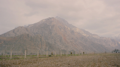 В Кыргызстане отменили пропуска для выпаса скота у границы