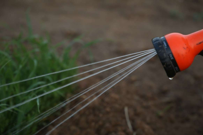 «Не дадим ни капли воды» – Бектенов запретил превышать нормы посевов даже на гектар