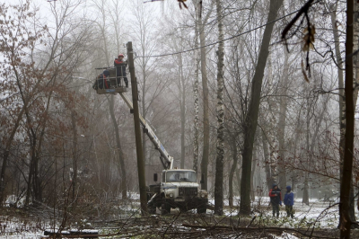 В Ленобласти без света остаются около 5 тысяч человек