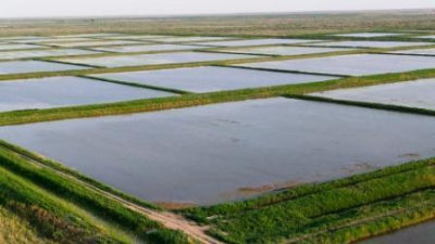 Потери воды на ирригационных сетях снизились до 193 млн кубометров в год - Минводы