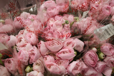 Россиян предупредили о&nbsp;росте числа мошенничеств перед 8&nbsp;Марта