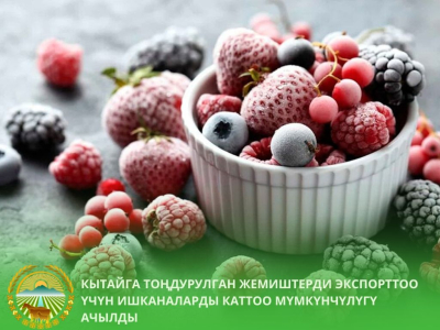 Китай открывает рынок для замороженных фруктов из Кыргызстана