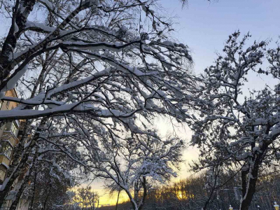 Циклон надвигается на Сахалин: снег с дождем обрушатся на остров