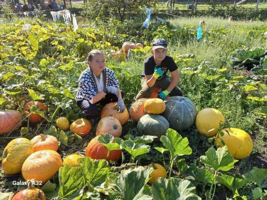 В Госдуме рассказали, с какого возраста подростки могут работать летом
