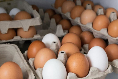 В Татарстане за неделю на 7% подорожали куриные яйца