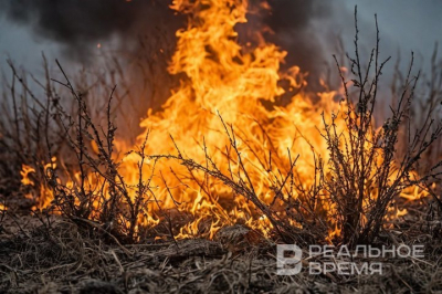 В Татарстане введут особый противопожарный режим с 25 апреля