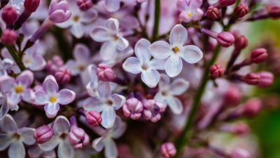 Толком не отдохнем: татарстанцев ждут самые короткие майские каникулы за последние 8 лет 25/03/2026 &ndash; Новости