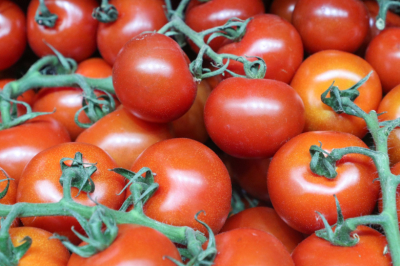 Более 18 тонн зараженных помидоров из Узбекистана выявили в Новосибирске