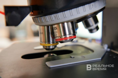 Молодые ученые из Казани и других регионов исследуют арктические микроорганизмы