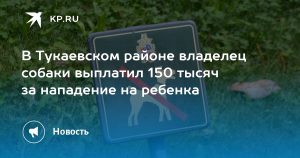 В Тукаевском районе владелец собаки выплатил 150 тысяч за нападение на ребенка