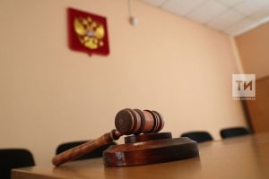 Хозяин акиты в Татарстане выплатил 150 тысяч за укус мальчика