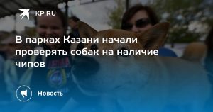 В парках Казани начали проверять собак на наличие чипов
