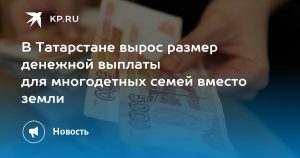 В Татарстане вырос размер денежной выплаты для многодетных семей вместо земли