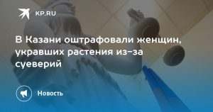 В Казани оштрафовали женщин, укравших растения из-за суеверий
