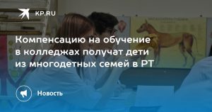 Компенсацию на обучение в колледжах получат дети из многодетных семей в РТ