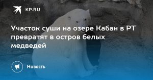 Участок суши на озере Кабан в РТ превратят в остров белых медведей