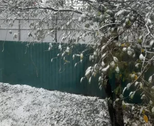 Минниханов показал жителям Татарстана фото первого снега