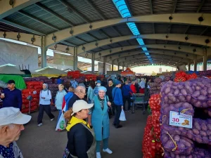 В Татарстане упали цены на лук и свеклу, при этом подорожали томаты и огурцы