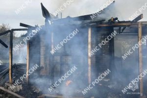 В Татарстане женщина получила ожоги на пожаре в СНТ