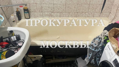 Мать утопила в ванной четырехлетнего ребенка 25/01/2026 – Новости
