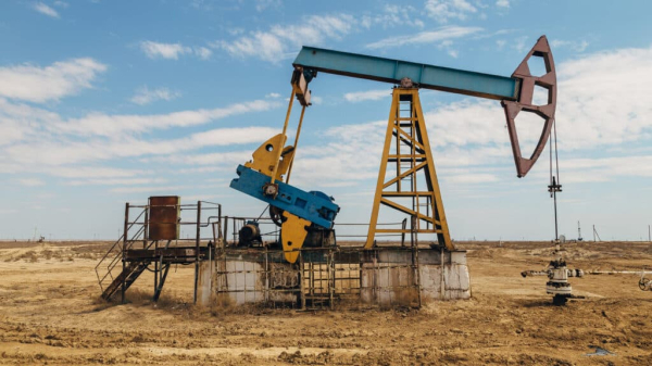Казахстанский миллиардер из Forbes пробурит три скважины, чтобы оценить запасы нефти