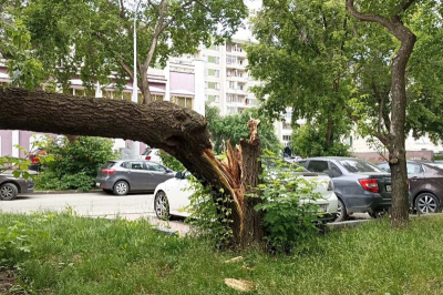 В Златоусте 53 частных дома остались без электричества после шторма