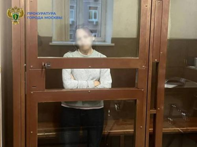 Пенсионерка, толкнувшая девочку на рельсы в московском метро, признана невменяемой