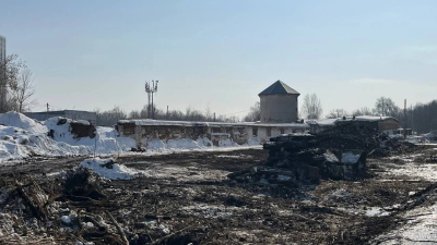 Комитет по охране ОКН о вырубке деревьев на «Ферме-2»: застройщик имеет все необходимые разрешения