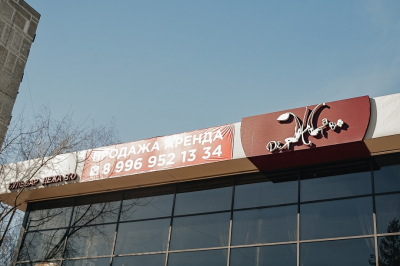 Цена на один из ключевых активов Райскина упала на треть