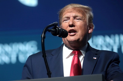 Трамп назвал выборы в США «полным бардаком»