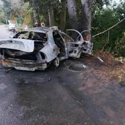 В Татарстане автомобиль влетел в дерево, 6 человек погибли