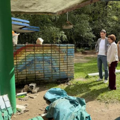 Кирпичная стена рухнула на троих малышей в детсаду