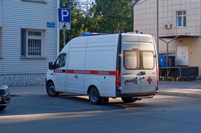 Бультерьер без намордника напал на трехлетнего мальчика в Ленобласти